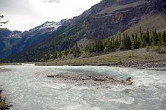 14 Robson River From Berg Lake Trail Between White Falls And Whitehorn Camp.jpg